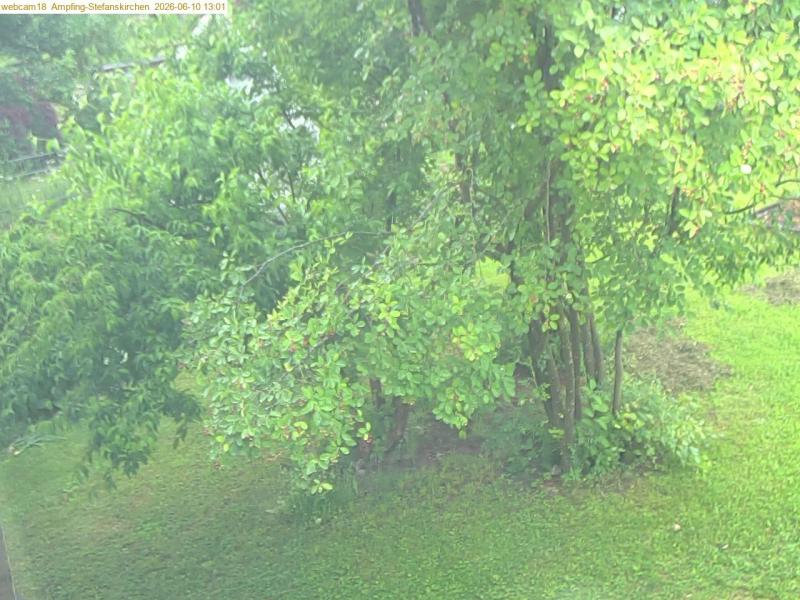 xxFoto von 2026-06-10_130121