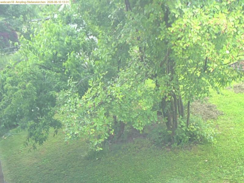 xxFoto von 2026-06-10_133123