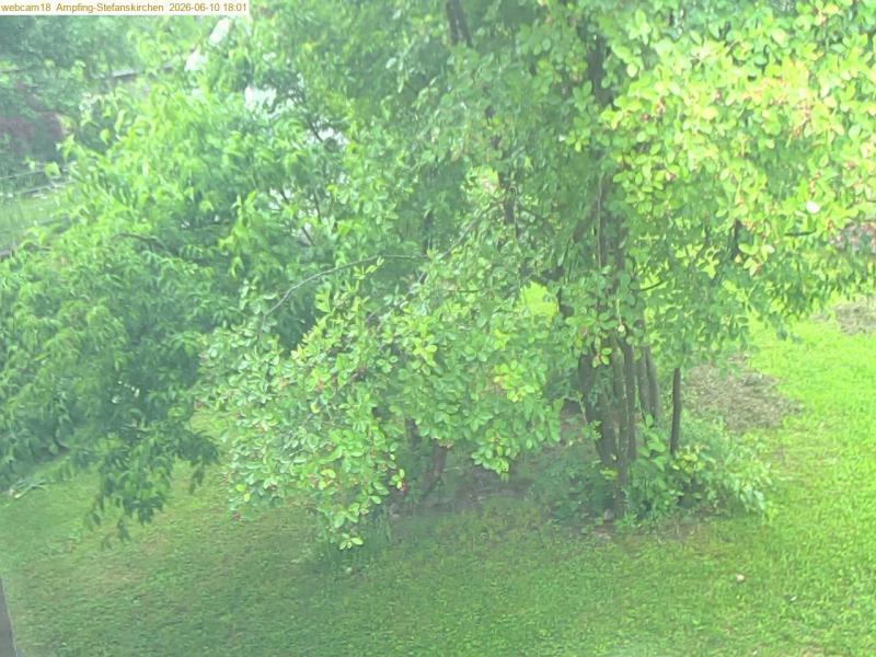 xxFoto von 2026-06-10_180121