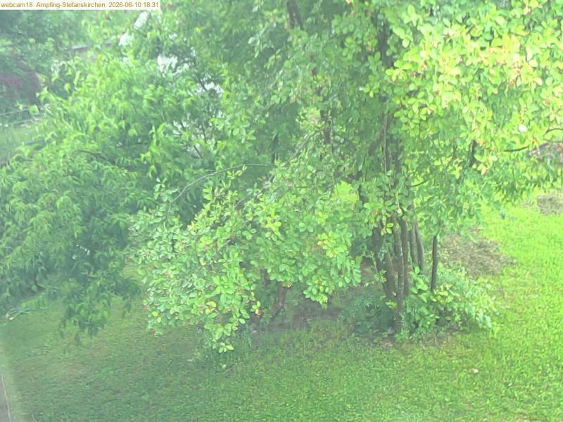 xxFoto von 2026-06-10_183122