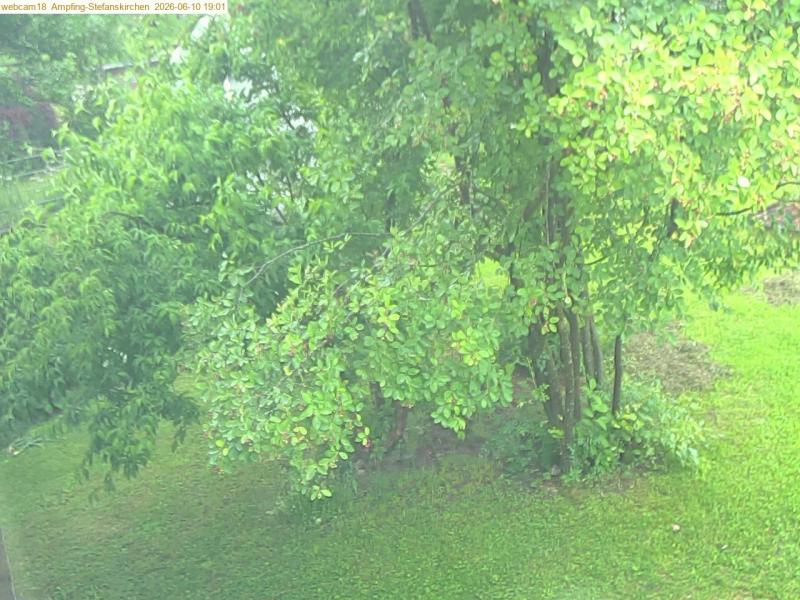xxFoto von 2026-06-10_190122