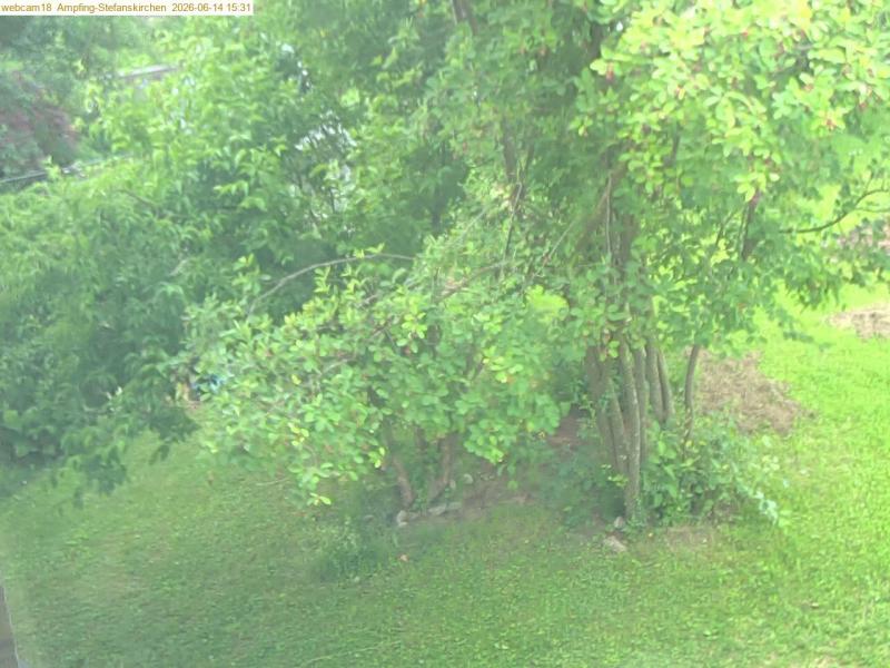 xxFoto von 2026-06-14_153123