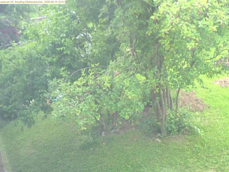 xxFoto von 2026-06-14_160123