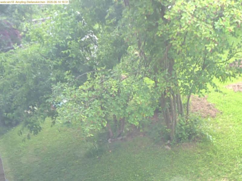 xxFoto von 2026-06-14_163123
