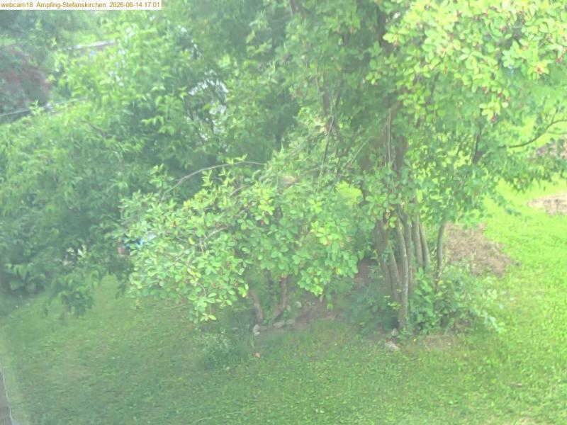 xxFoto von 2026-06-14_170122