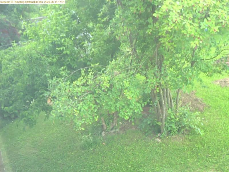 xxFoto von 2026-06-14_173121