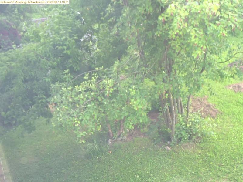 xxFoto von 2026-06-14_183123