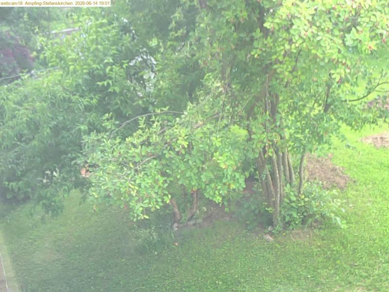 xxFoto von 2026-06-14_190122