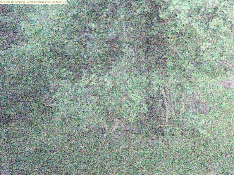 xxFoto von 2026-06-15_043041