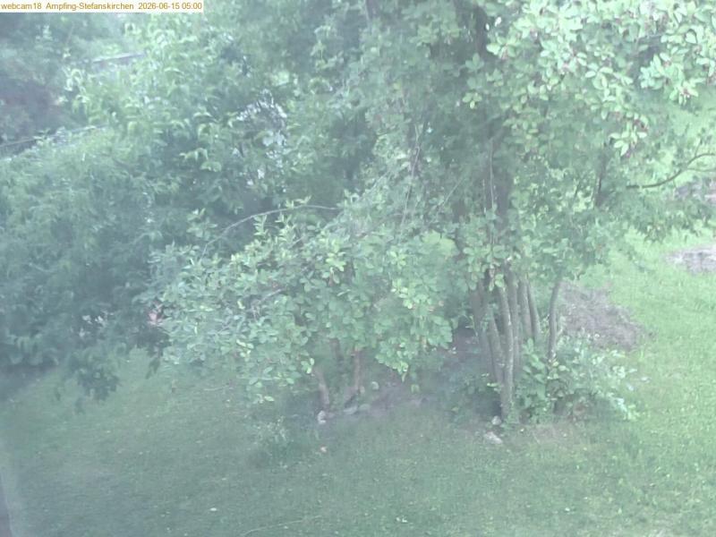 xxFoto von 2026-06-15_050039
