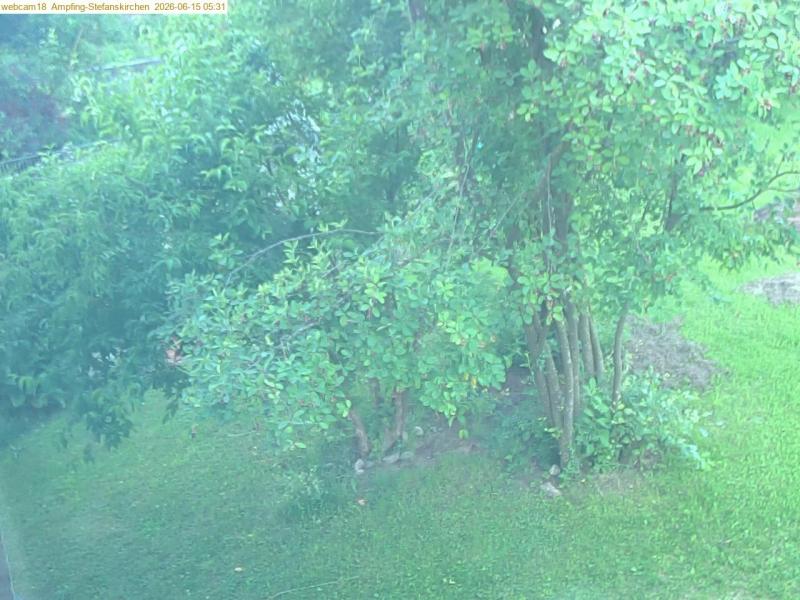 xxFoto von 2026-06-15_053121