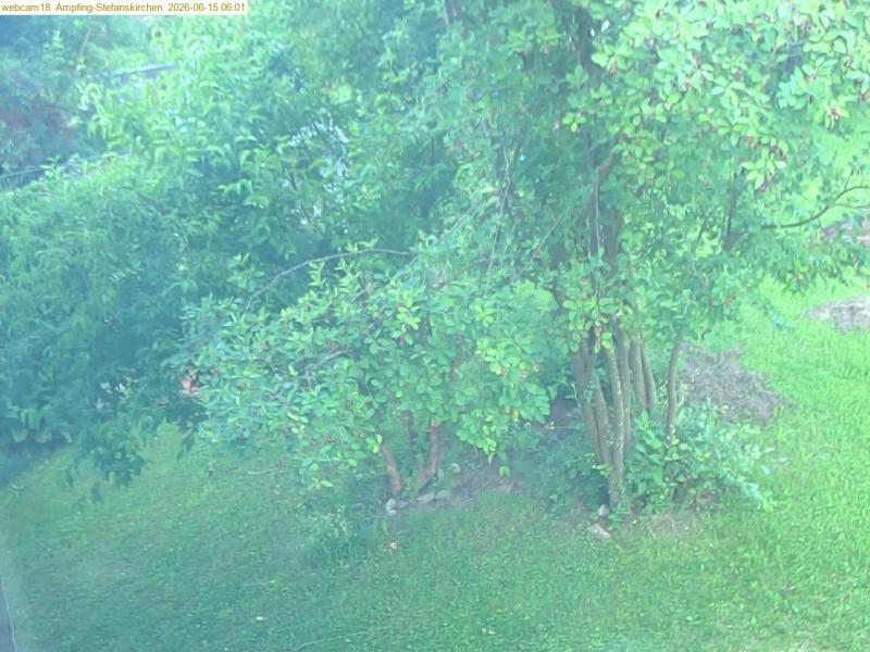 xxFoto von 2026-06-15_060122