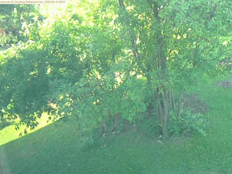 xxFoto von 2026-06-15_080122