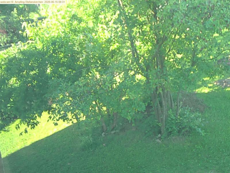 xxFoto von 2026-06-15_083122
