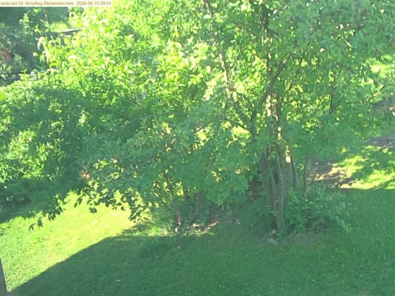 xxFoto von 2026-06-15_090123