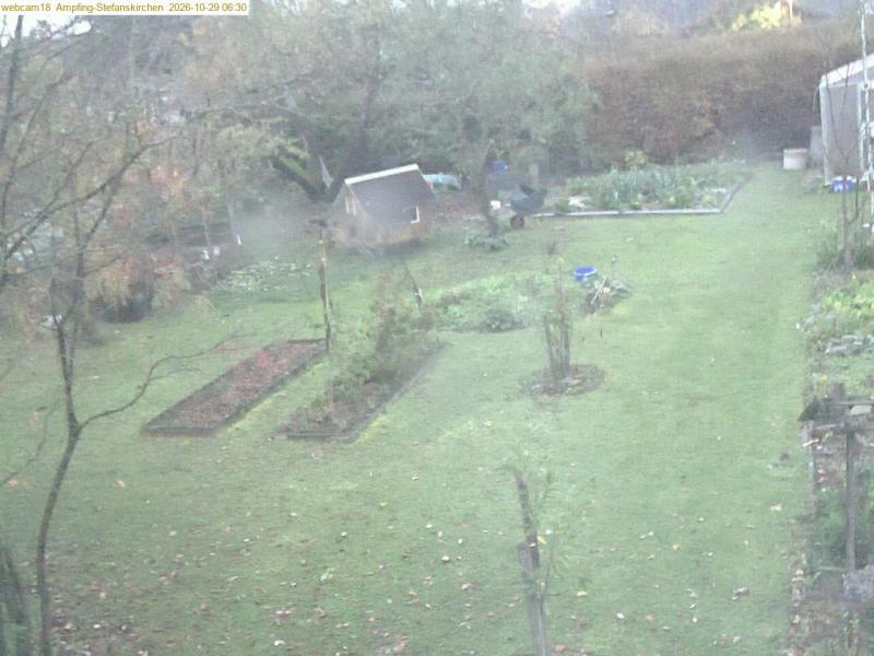xxFoto von 2026-10-29_063044
