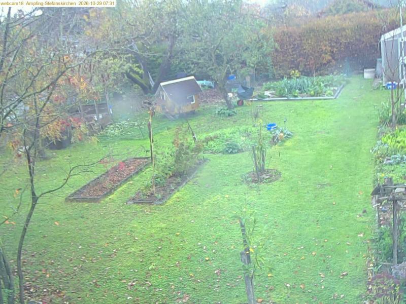 xxFoto von 2026-10-29_073119