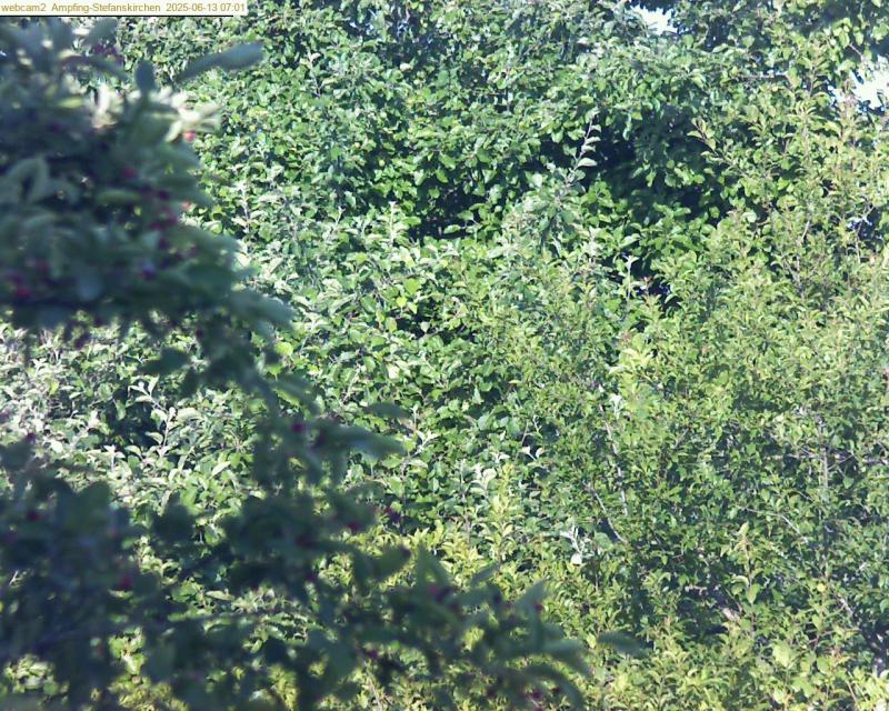 xxFoto von 2025-06-13_070135