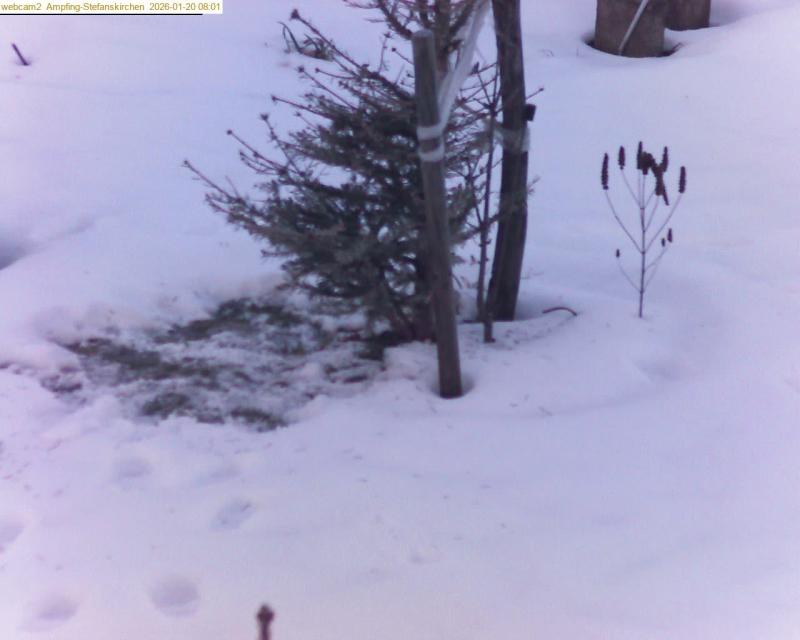 xxFoto von 2026-01-20_080124