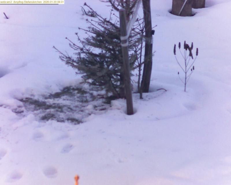 xxFoto von 2026-01-20_083124