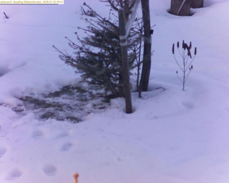 xxFoto von 2026-01-20_090126