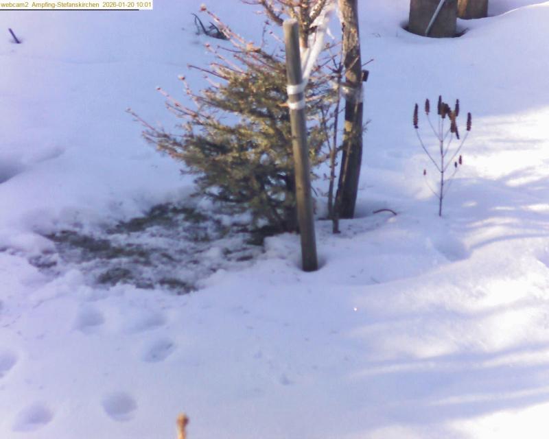 xxFoto von 2026-01-20_100125