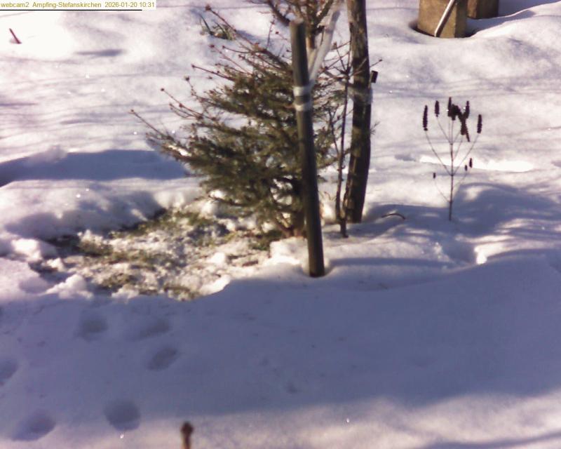 xxFoto von 2026-01-20_103121