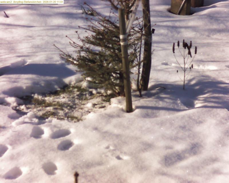 xxFoto von 2026-01-20_110124