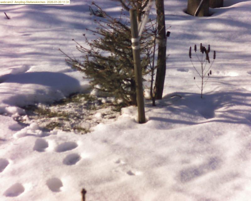 xxFoto von 2026-01-20_113122