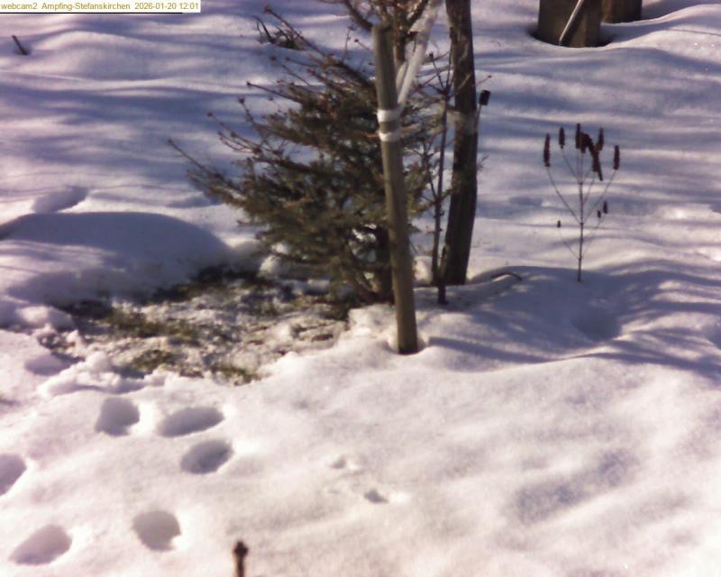 xxFoto von 2026-01-20_120120