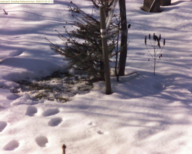 xxFoto von 2026-01-20_123122