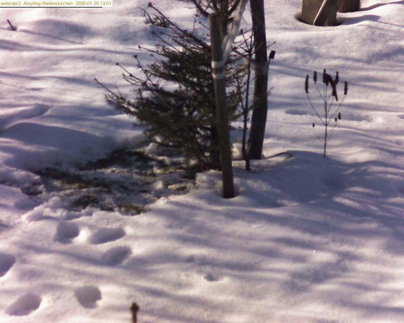 xxFoto von 2026-01-20_130122