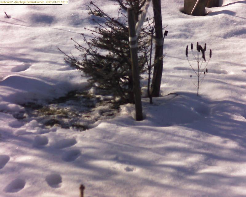 xxFoto von 2026-01-20_133125