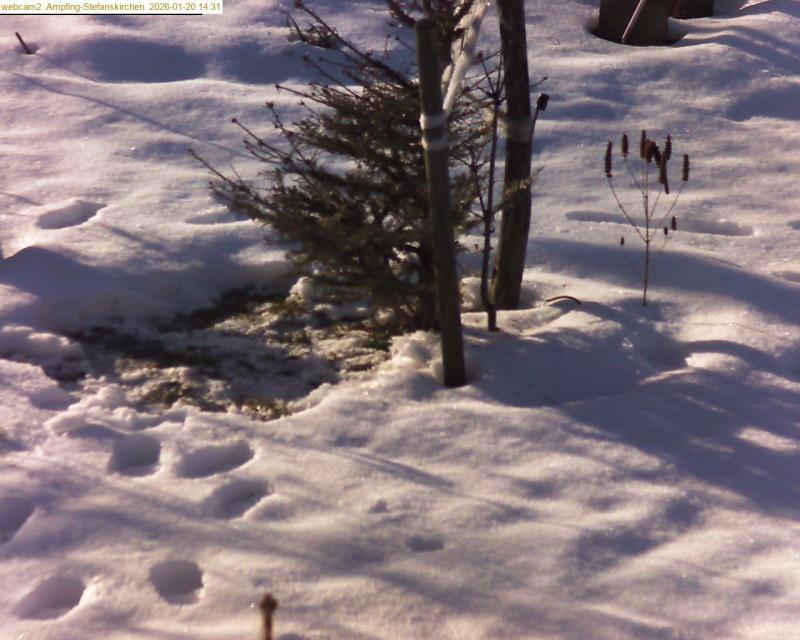 xxFoto von 2026-01-20_143120