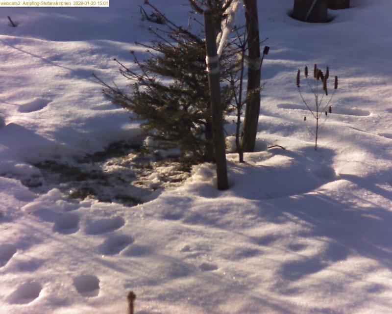 xxFoto von 2026-01-20_150121