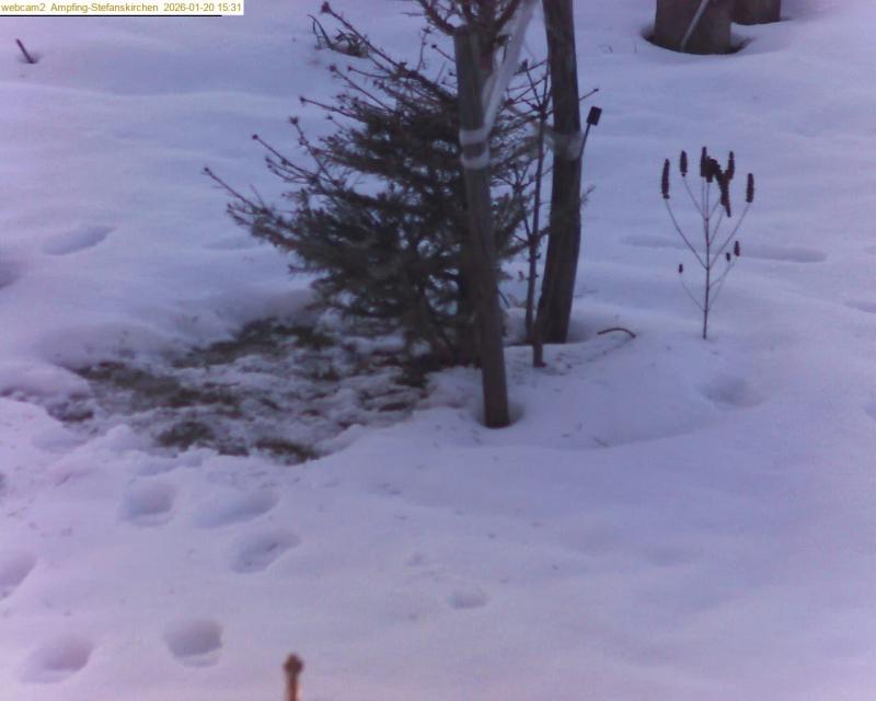 xxFoto von 2026-01-20_153122