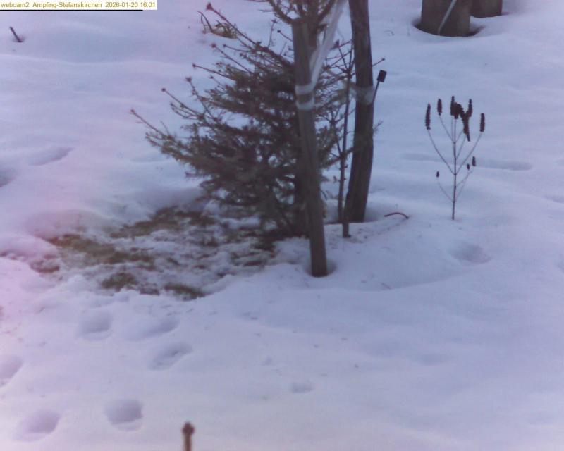 xxFoto von 2026-01-20_160119