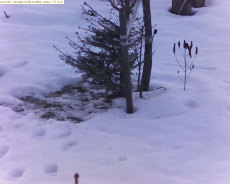 xxFoto von 2026-01-20_163120