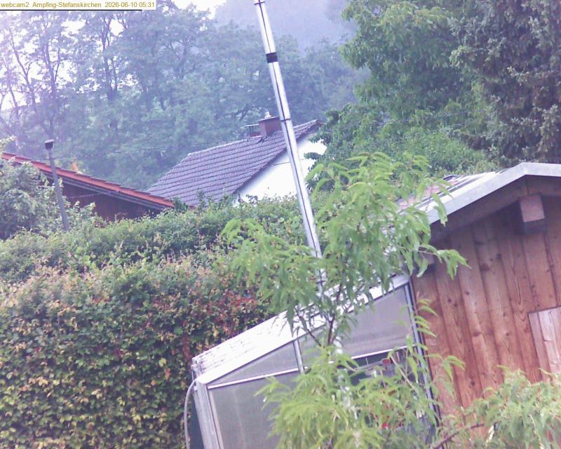 xxFoto von 2026-06-10_053121