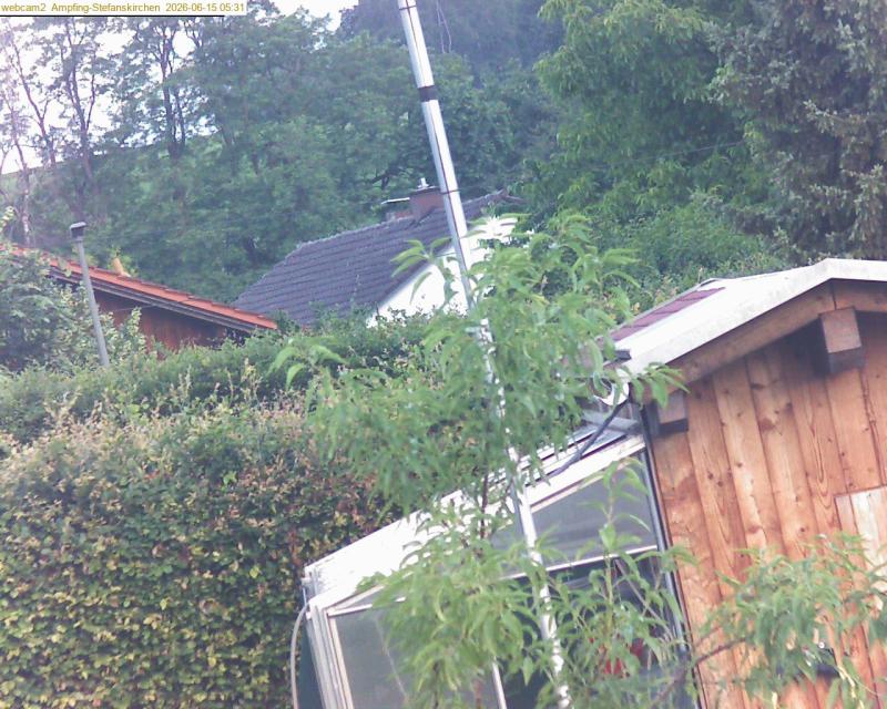 xxFoto von 2026-06-15_053121
