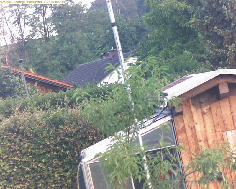 xxFoto von 2026-06-15_060122