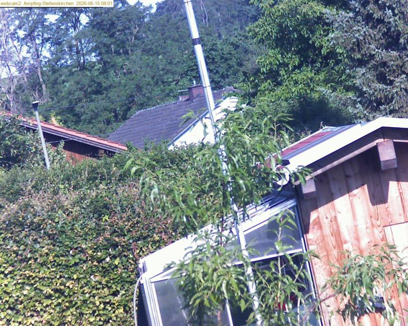 xxFoto von 2026-06-15_080122