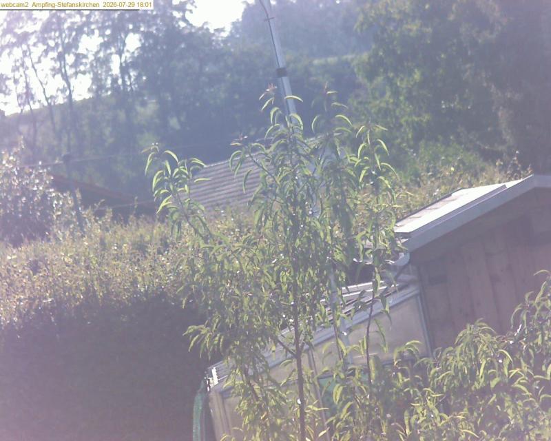 xxFoto von 2026-07-29_180125