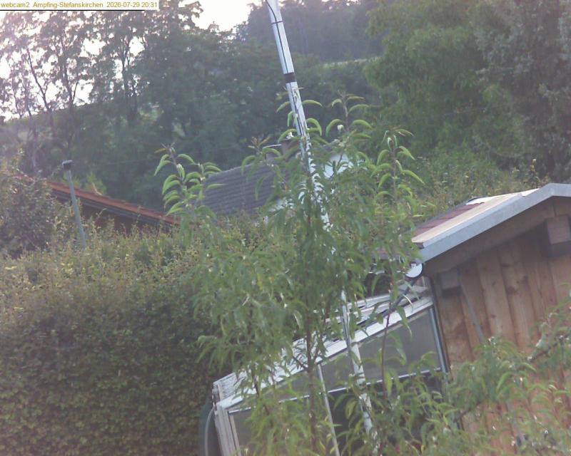 xxFoto von 2026-07-29_203123