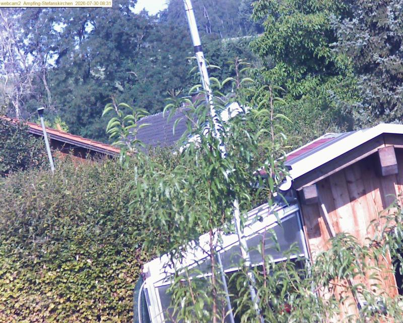 xxFoto von 2026-07-30_083124