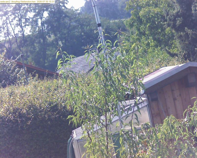 xxFoto von 2026-07-30_153129