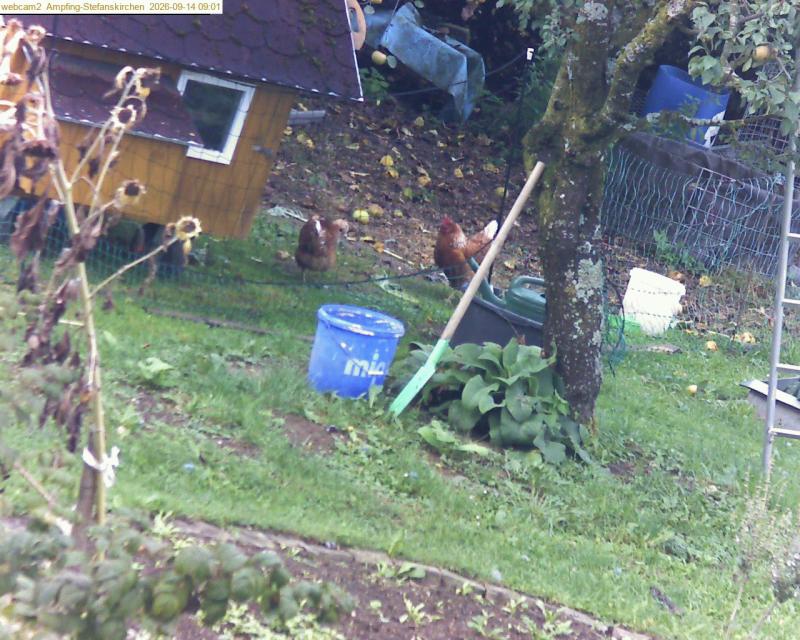 xxFoto von 2026-09-14_090126