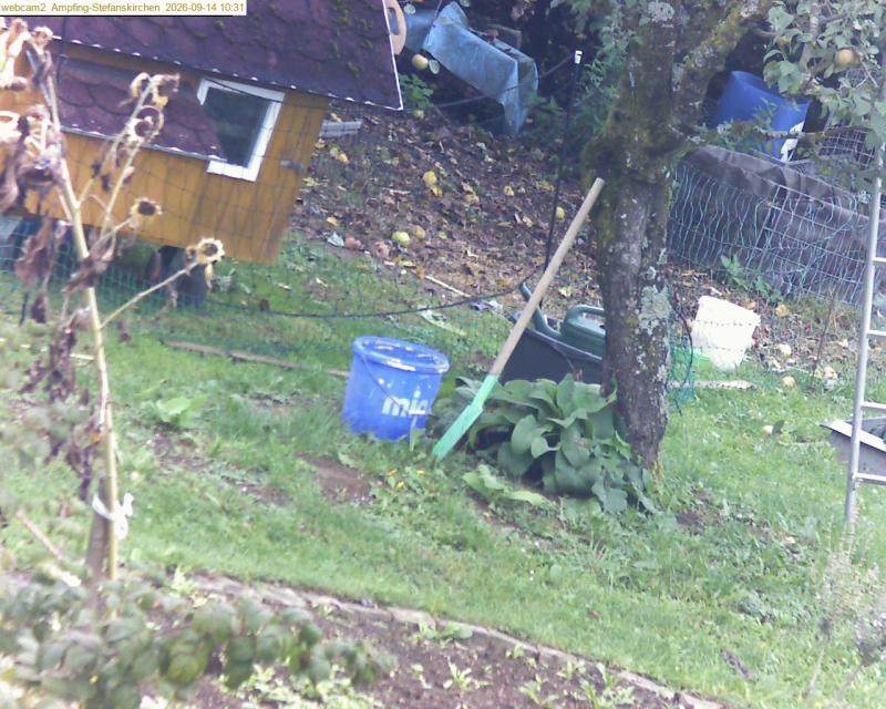 xxFoto von 2026-09-14_103124