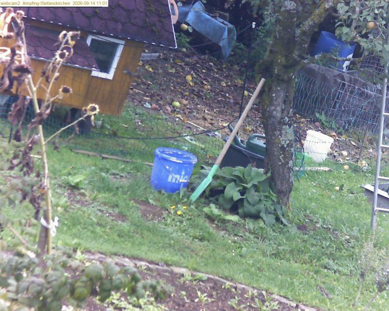 xxFoto von 2026-09-14_110127