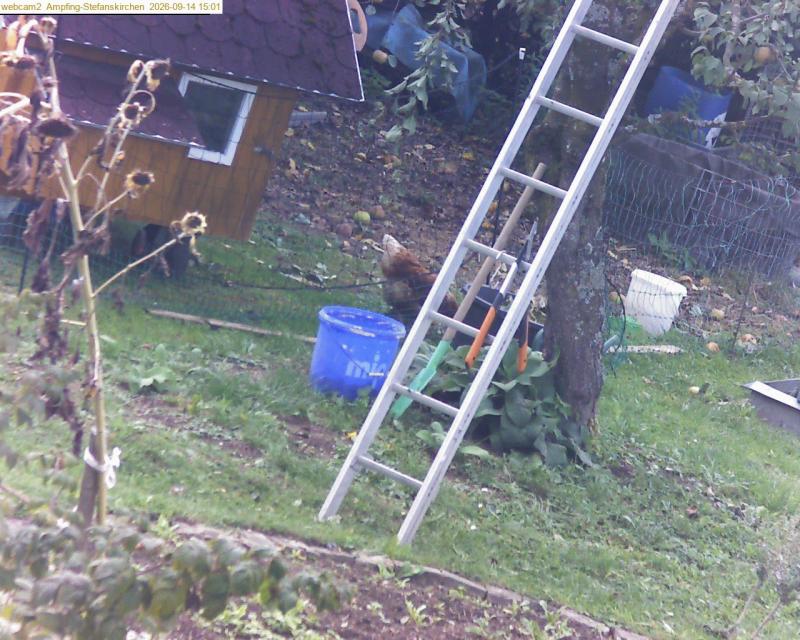 xxFoto von 2026-09-14_150126